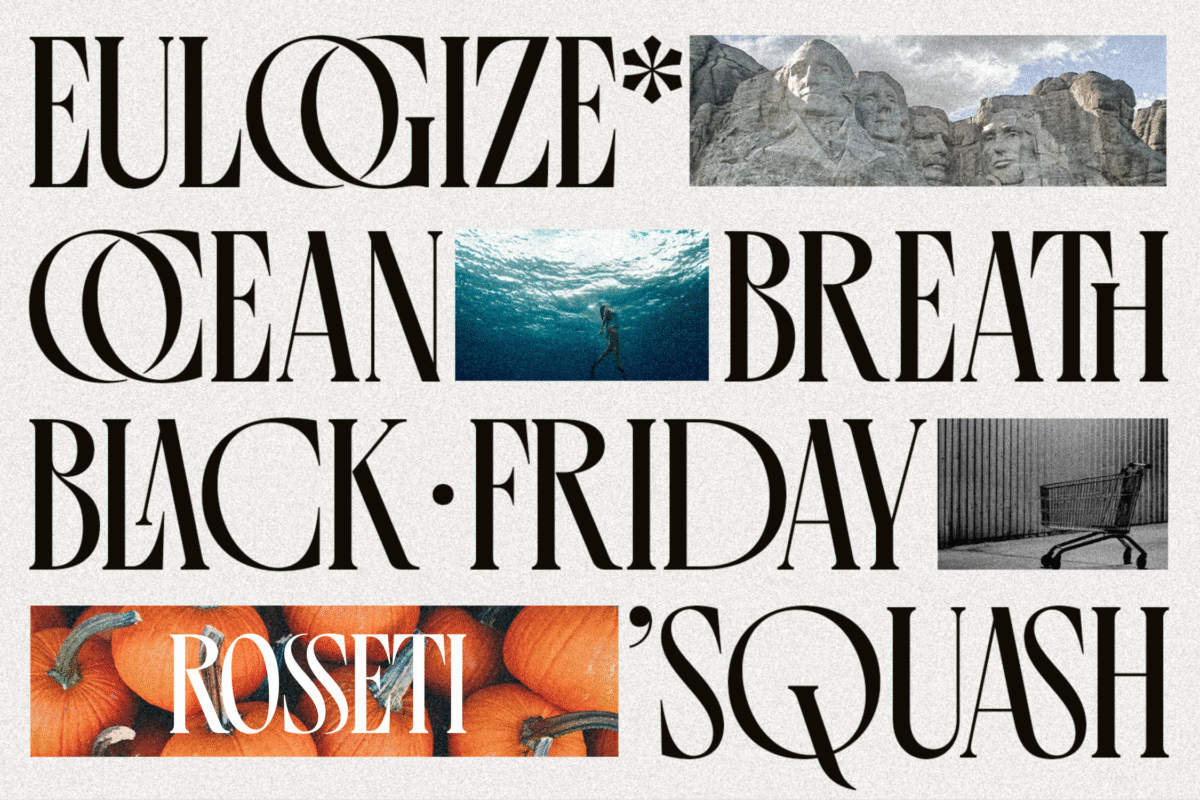 Aesthetic Ligature Font Collection_10