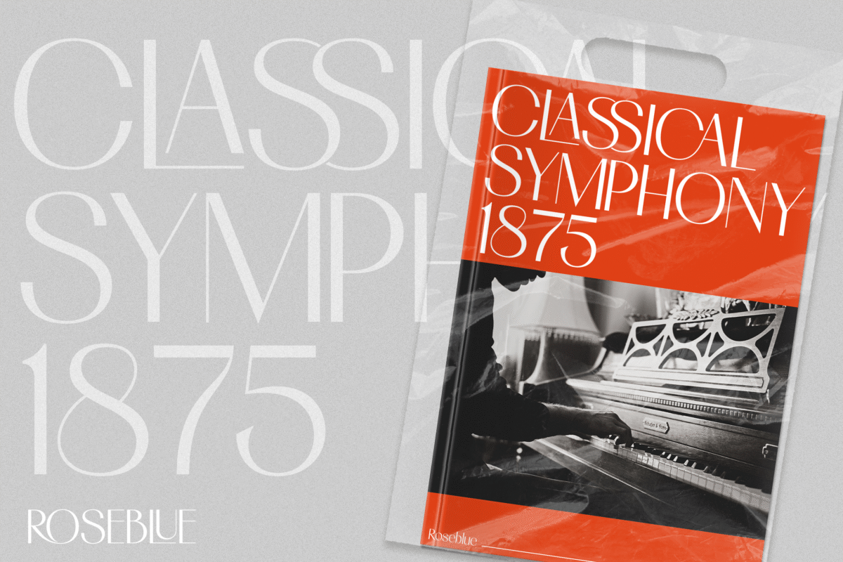 Aesthetic Ligature Font Collection_4